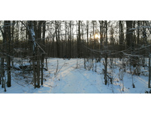 IMG 20201212 123629.jpg