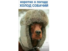 Screenshot 20201220 104227.jpg