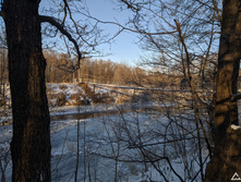 IMG 20201205 115450.jpg