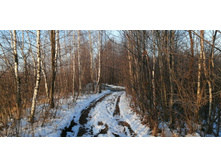 IMG 20201213 101113.jpg