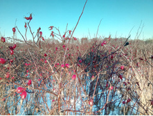 20201205 ������� ���� 1358.jpg