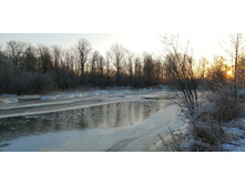 IMG 20201208 090313.jpg