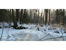 IMG 20201206 110215.jpg