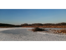 IMG 20201213 112017.jpg