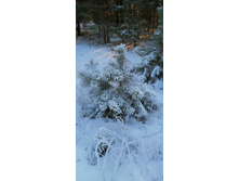 IMG 20201213 132719.jpg