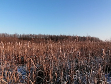 IMG 20201213 111402.jpg