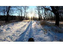 GH010054.MP4 20201205 233254.226.jpg