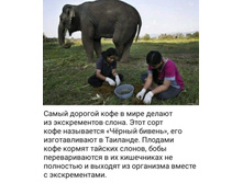 FB IMG 1608190499312.jpg