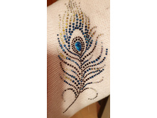 D409225e-593d-4c78-a7cd-ae1bbd69f844 fs.jpg