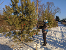 IMG 20201205 122137.jpg