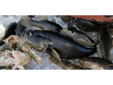 IMG 20201213 112751.jpg