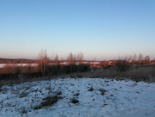 IMG 20201213 092803.jpg