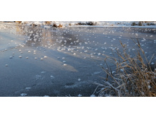 IMG 20201206 134531.jpg