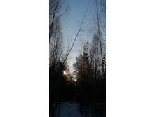 IMG 20201205 103558.jpg