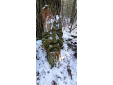 IMG 20201206 110332.jpg