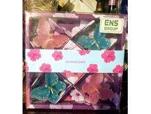 ����� ������������ ������