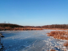 IMG 20201213 111350.jpg