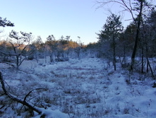 IMG 20201205 104951.jpg