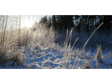 IMG 20201206 103232.jpg