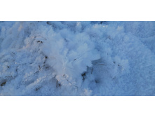 IMG 20201213 110656.jpg