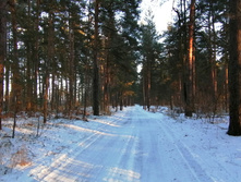 IMG 20201206 143105.jpg