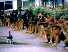 ������! �������� �ģ�!