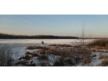 IMG 20201213 094631.jpg