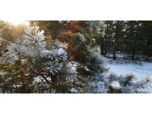 IMG 20201212 131959.jpg