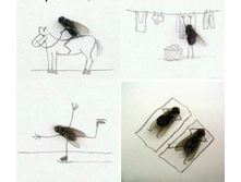 FB IMG 1607238735049.jpg