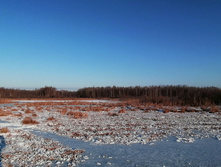 IMG 20201213 112340.jpg