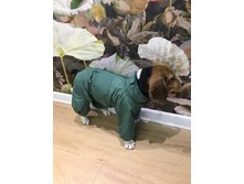 ����������� viber 2020-12-09 19-27-333.jpg