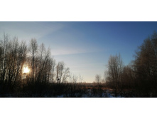 IMG 20201208 095250.jpg