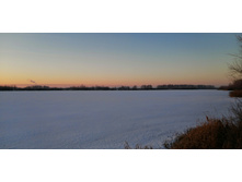 IMG 20201208 083938.jpg