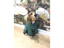 ����������� viber 2020-12-09 19-27-332.jpg