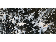 IMG 20201213 095638.jpg