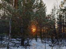 IMG 20201205 145200.jpg