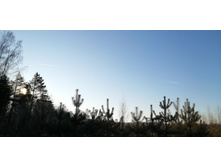 IMG 20201205 105614.jpg