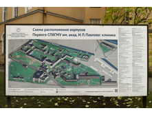 IMG 4929 1.jpg
