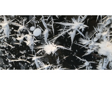 IMG 20201213 095643.jpg