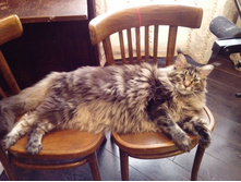 �� ���� ��������? ���� ��� ���� �������, ������ ����!