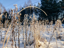 IMG 20201205 115429.jpg