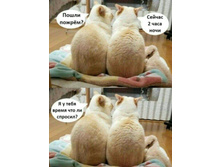 IMG 20201230 032205.jpg