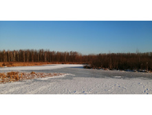 IMG 20201213 112009.jpg