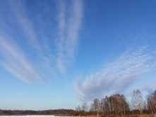 IMG 20201213 104434.jpg