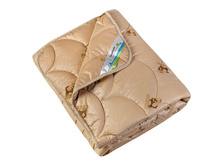 ������ ������ ������ 300 ��. "��������