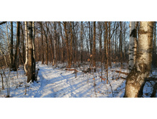 IMG 20201213 102159 1.jpg