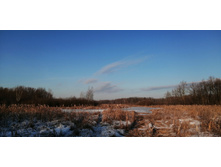 IMG 20201213 105612.jpg