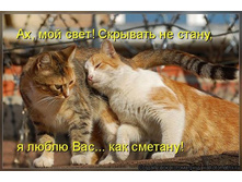 ��, ��� ����! �������� �� �����, � ����� ��� ... ��� �������!