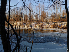 IMG 20201205 115701.jpg