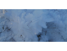 IMG 20201213 110757.jpg